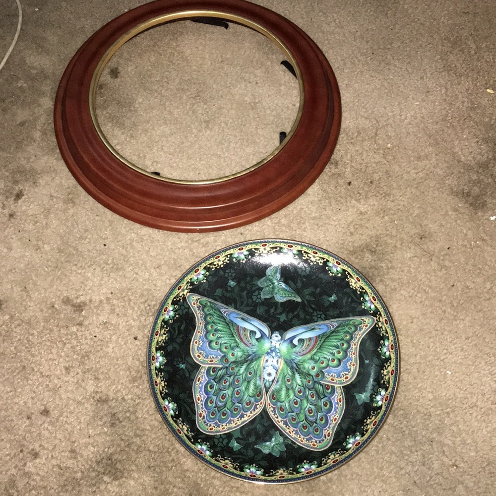 Bradford exchange butterfly plate display